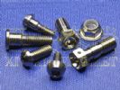 Titanium Motorcycle Parts,Titanium Motor Disk Brake Bolts